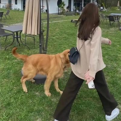 蝴蝶风暴